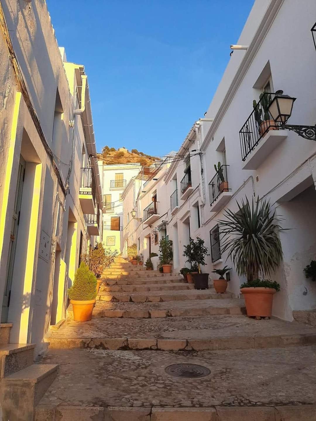 Casa Purica *